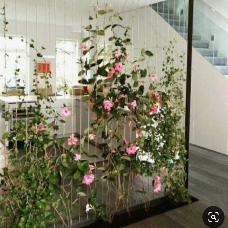 potential room divider