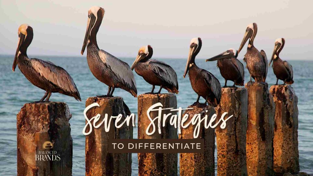 Differentiation Strategy header